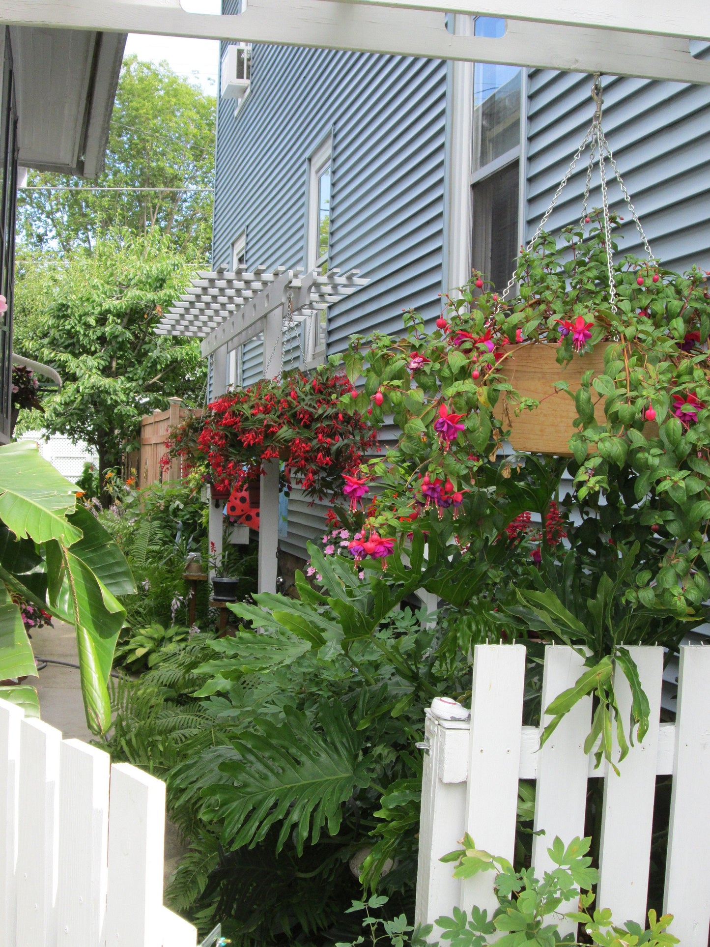 4 Pack of Hanging Basket Planters