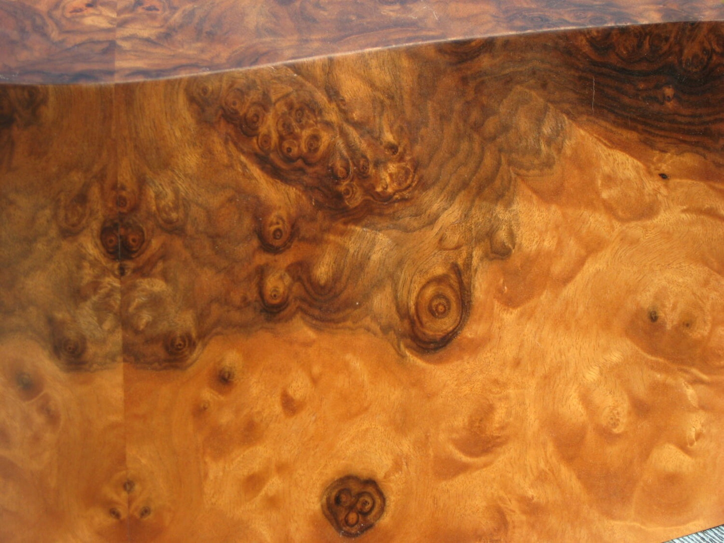 "Moth Lamp" Bentwood Table Lamp