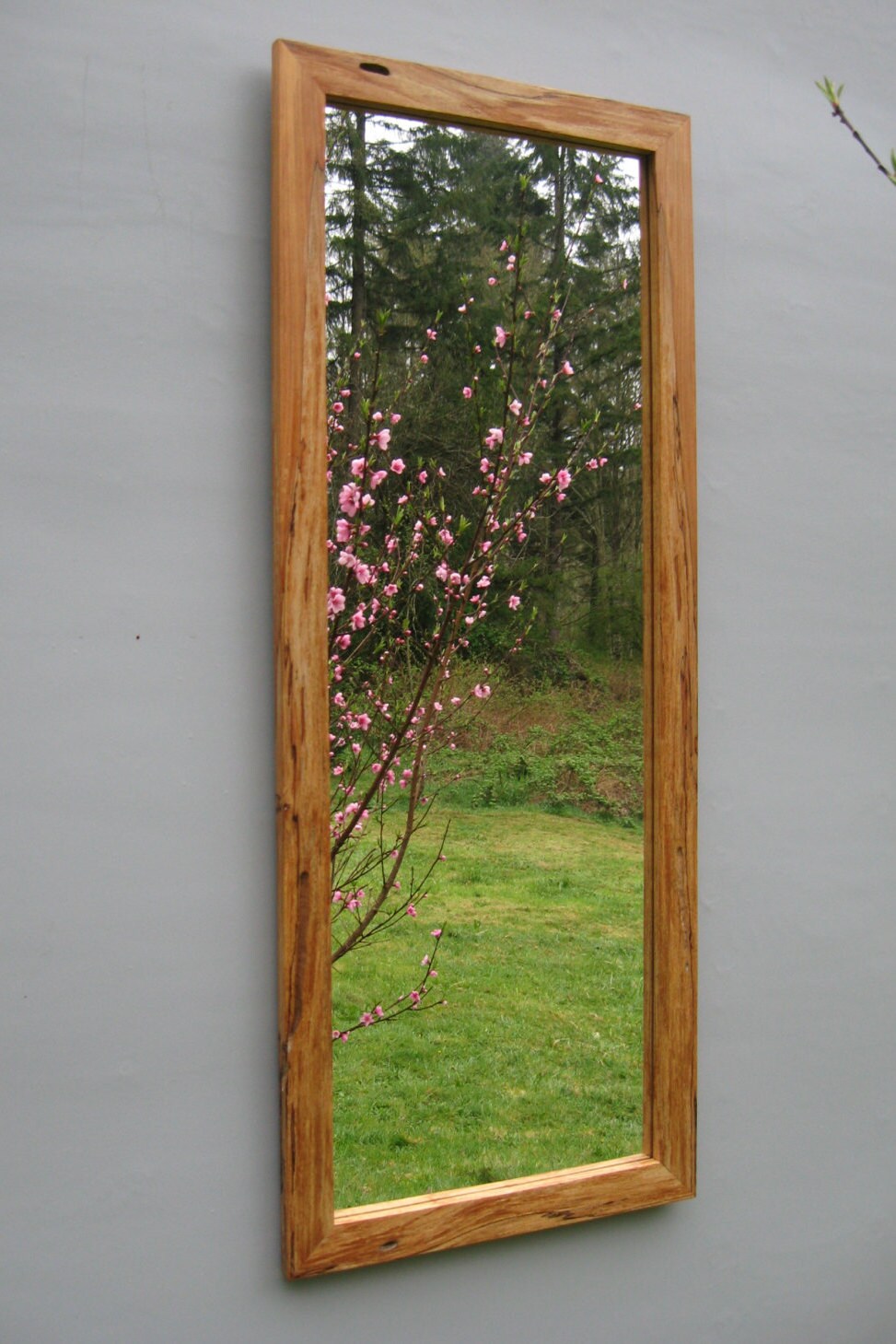 Long Spalted Maple Mirror