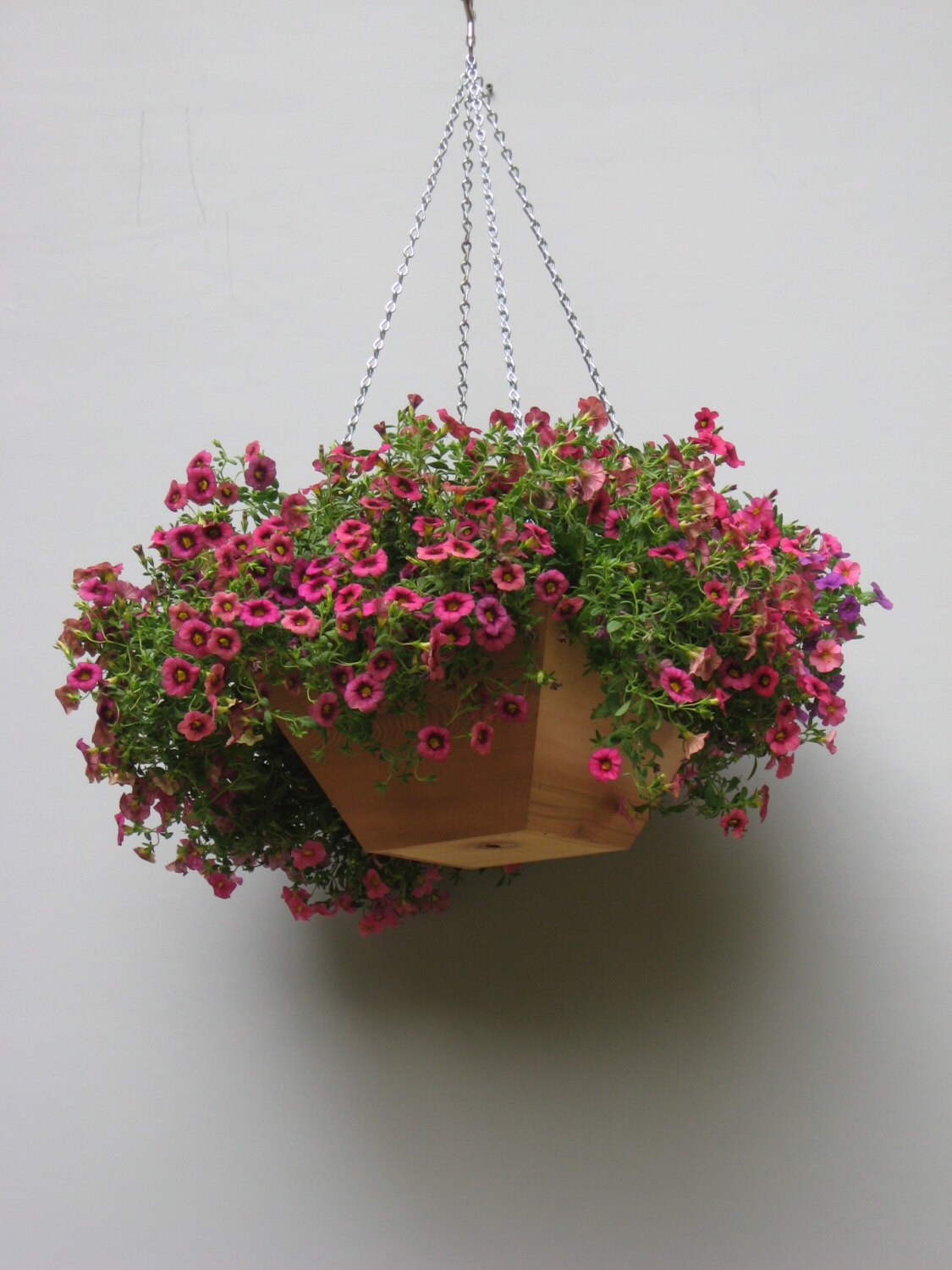 abari caged hanging planter Hanging Cedar Basket Planter – Alluvion Inc